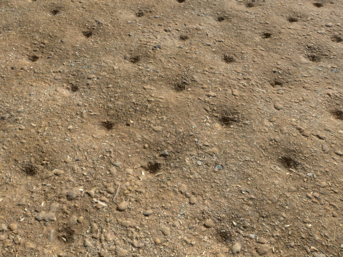 Farm Terrain Textures Pack 2 CG テクスチャ