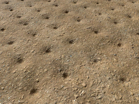 Farm Terrain Textures Pack 2 CG Textures