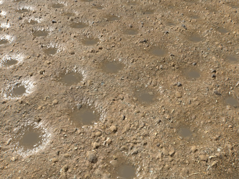 Farm Terrain Textures Pack 2 CG テクスチャ