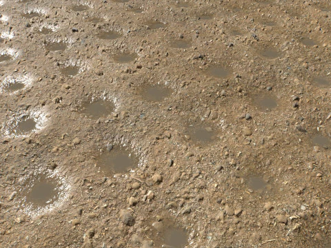 Farm Terrain Textures Pack 2 CG Textures