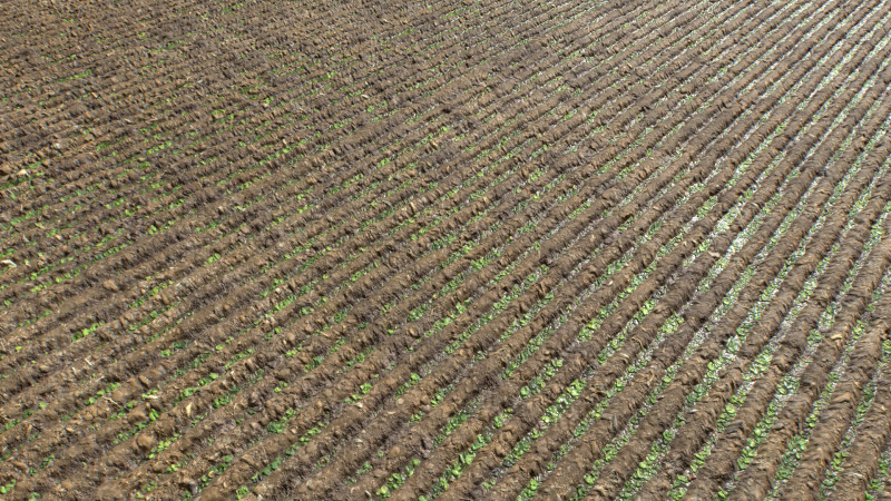 Farm Terrain Textures Pack 3 CG Textures .c4d .max .obj .3ds .fbx .stl .blend