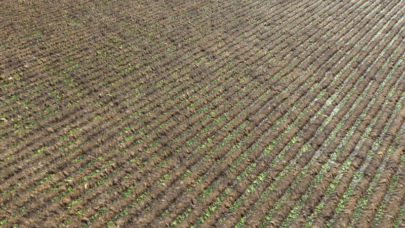 Farm Terrain Textures Pack 3 CG Textures .c4d .max .obj .3ds .fbx .stl .blend 