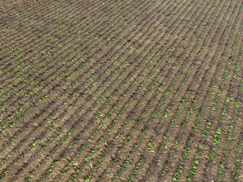 Farm Terrain Textures Pack 3 CG Textures