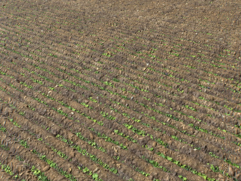 Farm Terrain Textures Pack 3 CG Textures