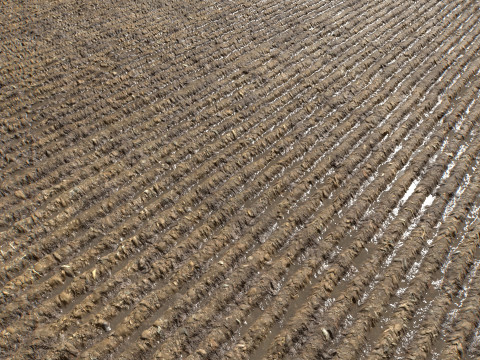 Farm Terrain Textures Pack 3 CG Textures