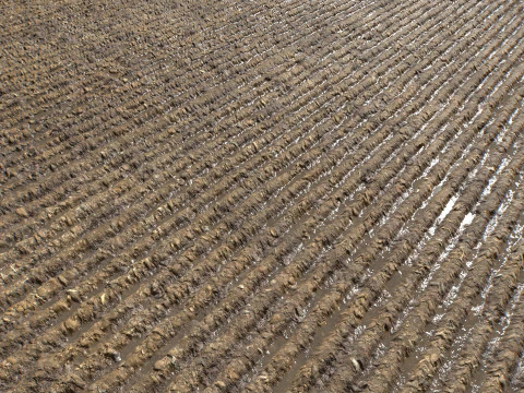 Farm Terrain Textures Pack 3 CG Textures