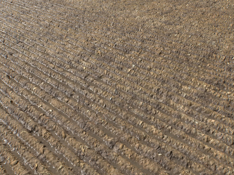 Farm Terrain Textures Pack 3 CG Textures