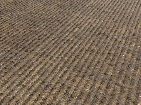 Farm Terrain Textures Pack 3 CG Textures