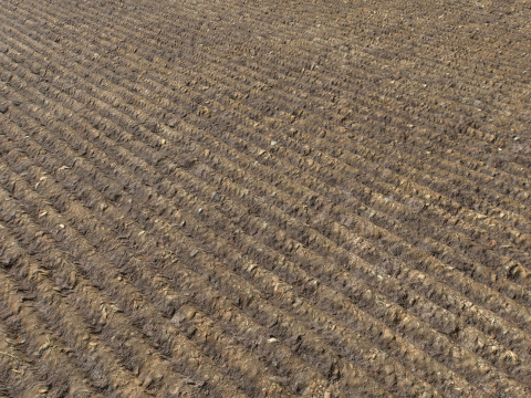 Farm Terrain Textures Pack 3 CG Textures