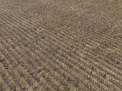 Farm Terrain Textures Pack 3 CG Textures