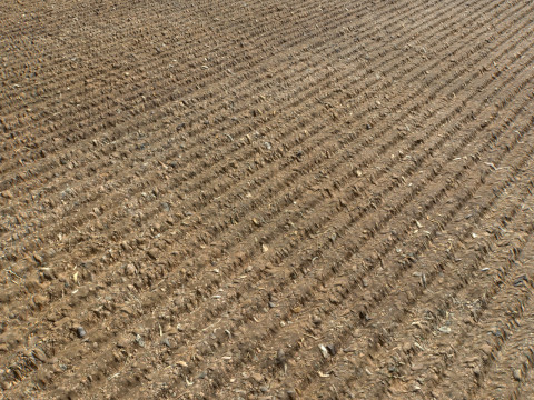 Farm Terrain Textures Pack 3 CG Textures