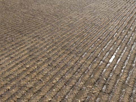 Farm Terrain Textures Pack 3 CG Textures