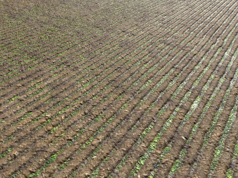 Farm Terrain Textures Pack 3 CG Textures