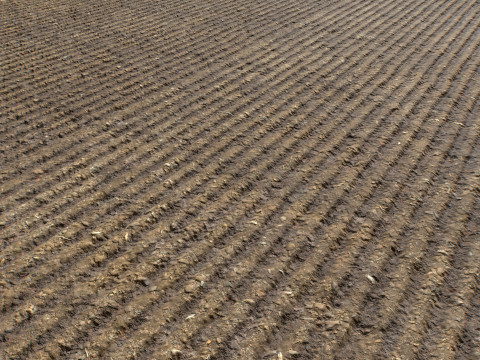 Farm Terrain Textures Pack 3 CG Textures
