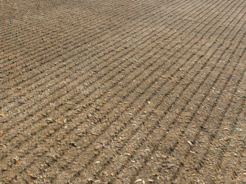 Farm Terrain Textures Pack 3 CG Textures