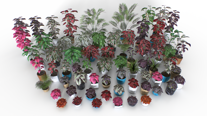 Interior plants pack 3D Model .c4d .max .obj .3ds .fbx .stl .blend 