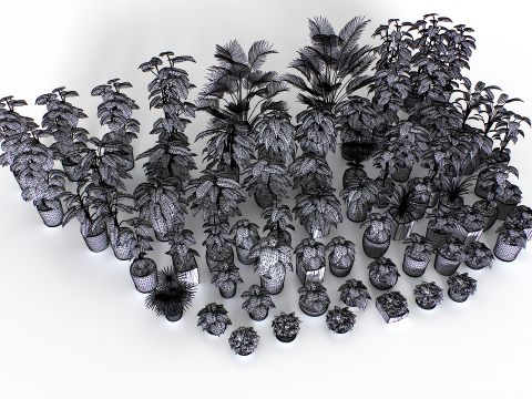 Interior plants pack 3D Model