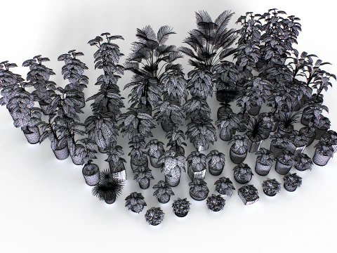 Interior plants pack 3D Model