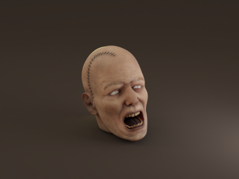 Preserved Head Low-poly Modèle 3D