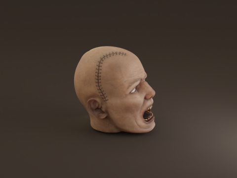 Preserved Head Low-poly Modèle 3D