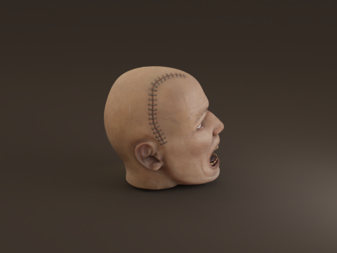 Preserved Head Low-poly Modèle 3D