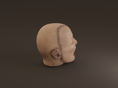Preserved Head Low-poly Modèle 3D