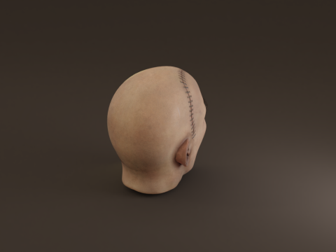 Preserved Head Low-poly Modèle 3D