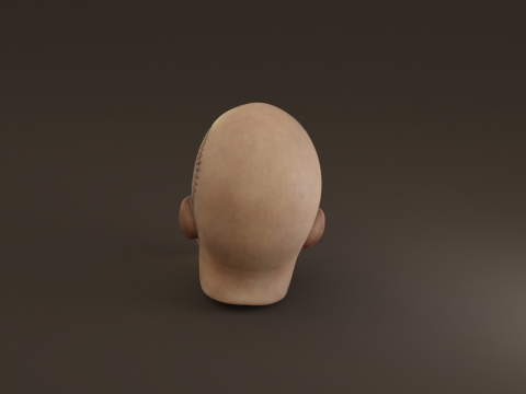 Preserved Head Low-poly Modèle 3D