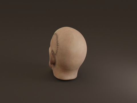 Preserved Head Low-poly Modèle 3D
