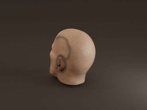 Preserved Head Low-poly Modèle 3D