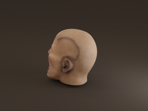 Preserved Head Low-poly Modèle 3D