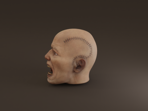 Preserved Head Low-poly Modèle 3D