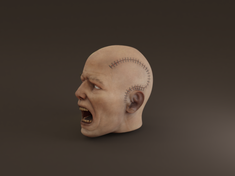 Preserved Head Low-poly Modèle 3D