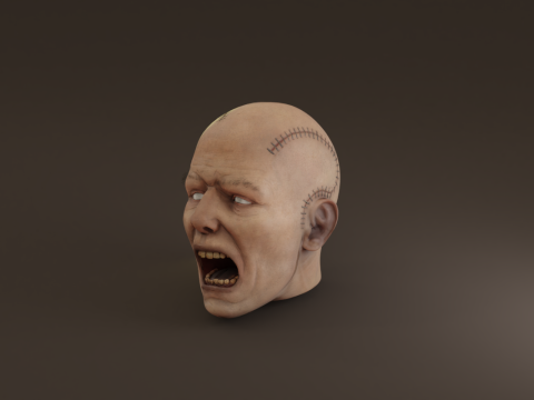 Preserved Head Low-poly Modèle 3D