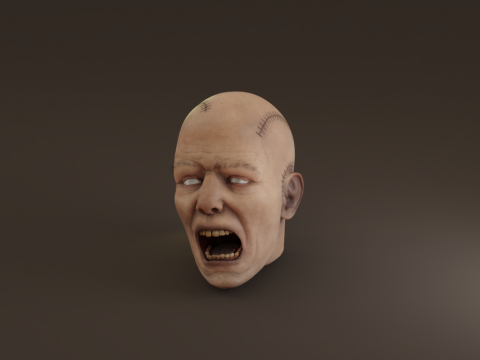 Preserved Head Low-poly Modèle 3D