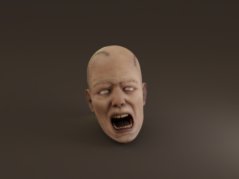 Preserved Head Low-poly Modèle 3D
