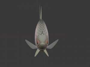 Russian fish gorchak Model 3D