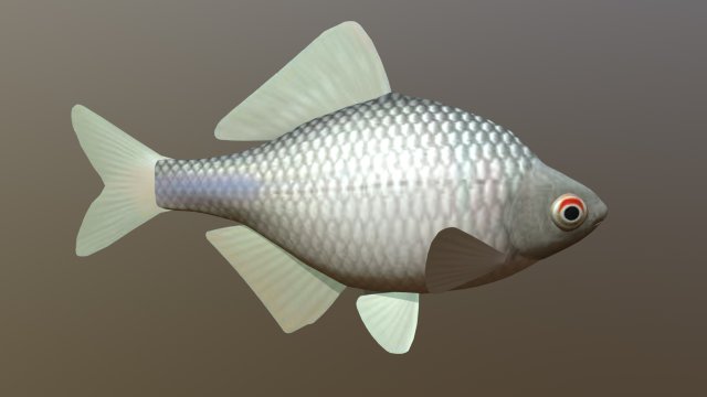 Russian fish gorchak Model 3D .c4d .max .obj .3ds .fbx .stl .blend 