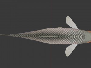 Russian fish gorchak Model 3D