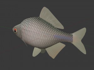 Russian fish gorchak Model 3D