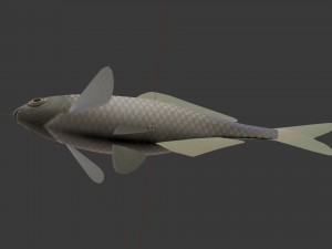 Russian fish gorchak Model 3D