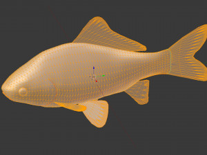 Carassius silver 3D Модель