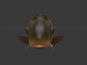 Carp or common carp 3D मॉडल