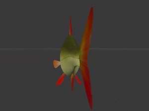 The common rudd Modelo 3D