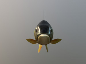 Fish river perch Model 3D