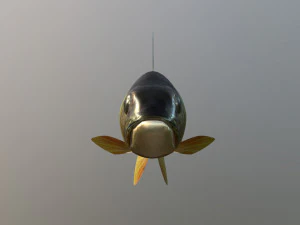 Poleiro de rio de peixe Modelo 3D