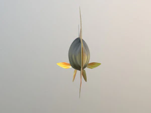 Poleiro de rio de peixe Modelo 3D