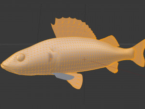 Fish river perch Model 3D