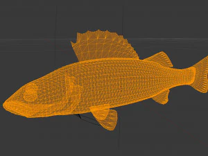 Poleiro de rio de peixe Modelo 3D