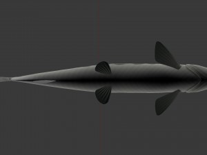 Freshwater fish peskar 3D Model
